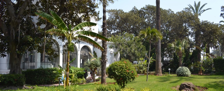 Træer, buske og et tomt bassin i have til The Casablanca Art School