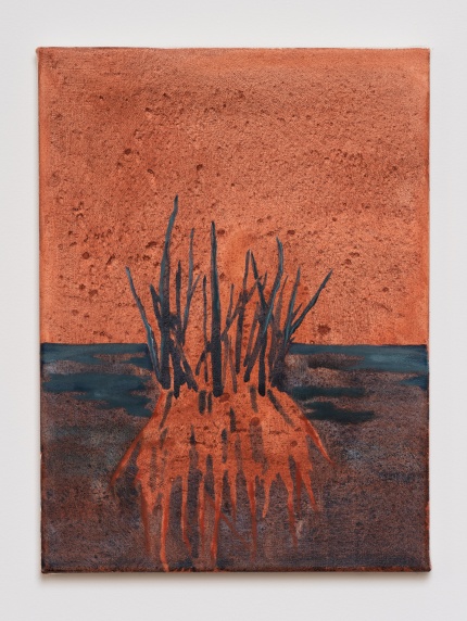 Pauline Franssons afgangsværker 2021