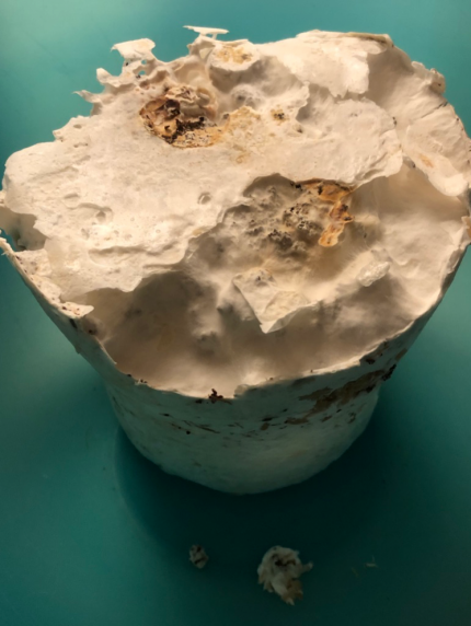 Billede fra projektet Digital Materialities